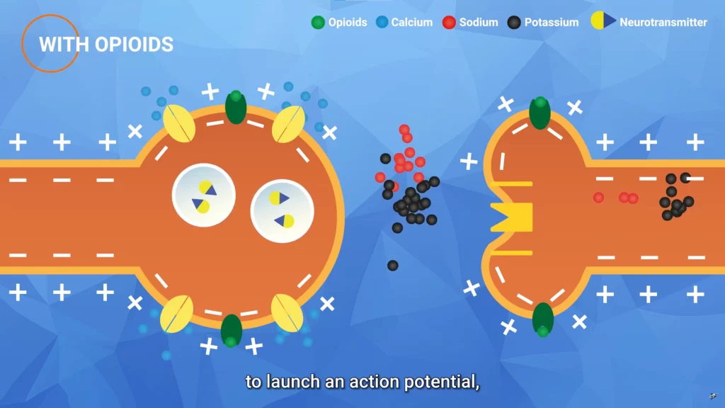 film pédagogique en motion design pour entreprise