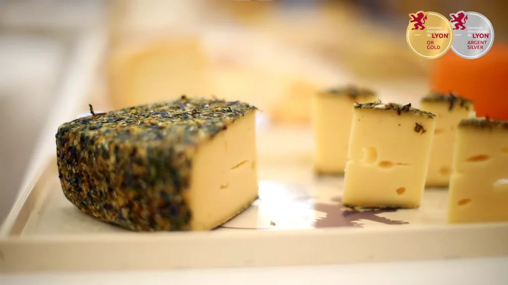 Retour en image avec un montage vidéo du concours international de fromage