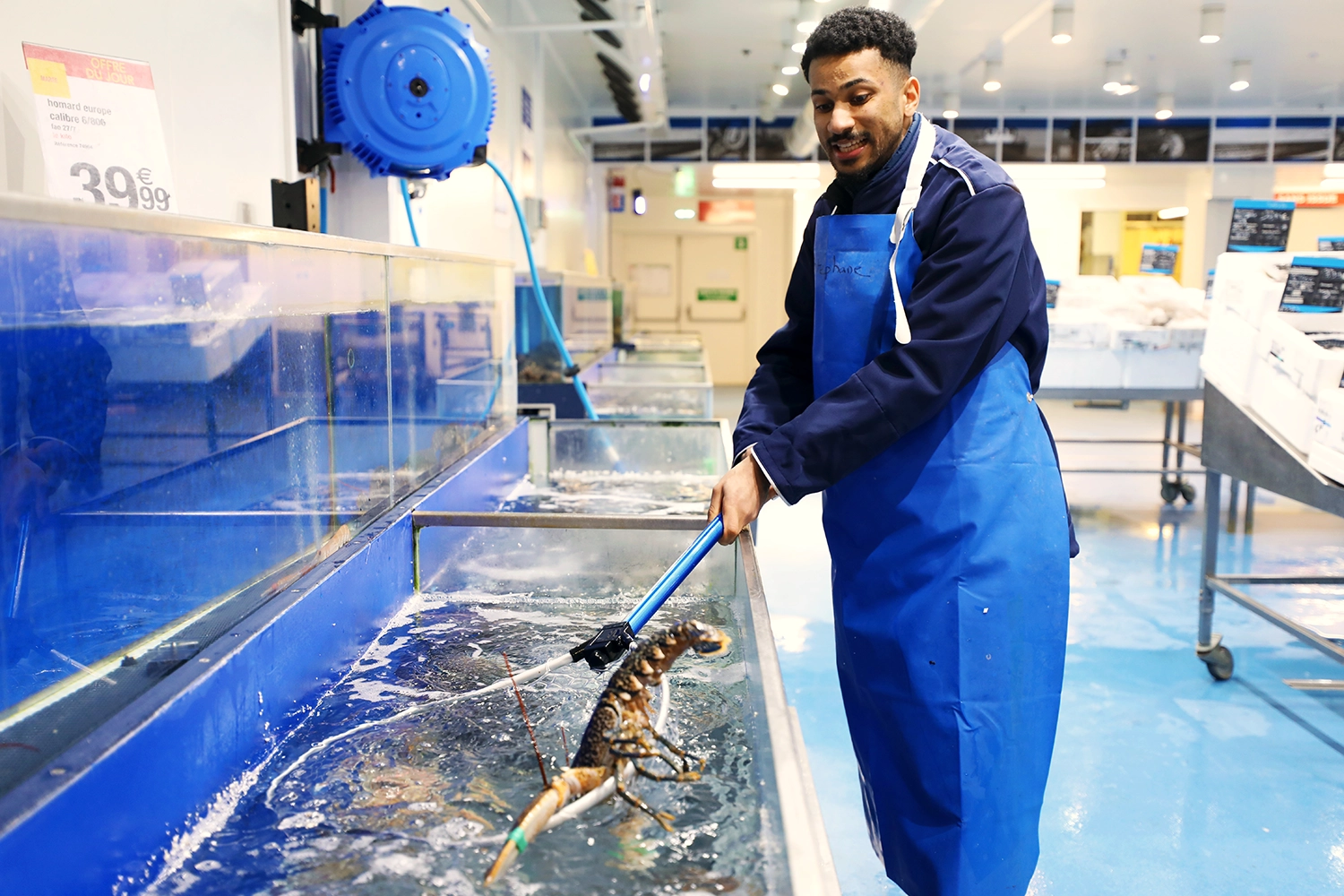 Alternant METRO en tenue de travail manipulant un homard dans le rayon des produits frais.